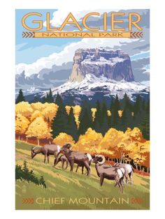 a painting of mountains and trees with animals in the foreground, along with text that reads glacier national park