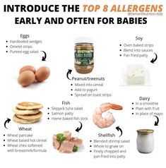 an info sheet describing the top 8 allergens for babies and how to use them