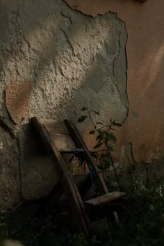 an old wooden chair sitting in front of a stone wall with a plant growing out of it