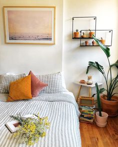 a bed sitting in a bedroom next to a window with potted plants on top of it