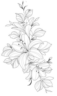 Lily Tattoo Realistic, Flower Line Work Tattoo Design, Flower Shoulder Tattoo Stencil, Tiger Lilly Tattoo Design, Floral Shoulder Tattoo Design, Lily Flower Line Drawing, Amaryllis Tattoo Design, Long Floral Tattoo, Lilly Tattoo Stencil