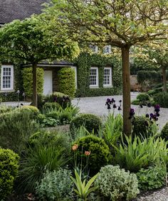 an outdoor garden with lots of plants and trees