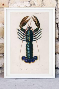 a blue lobster on a white background