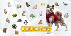 the dog is wearing a red vest and standing in front of many different types of animals