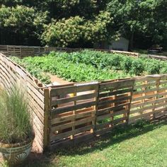 an outdoor vegetable garden with wooden fence and potted plants