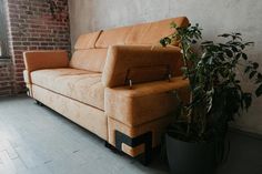 a couch sitting next to a potted plant