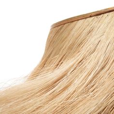 closeup of long blonde hair on white background