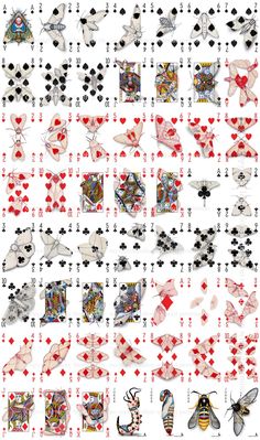 an image of playing cards with bugs and hearts on the back, all in different colors