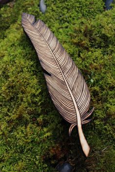 a feather is laying on the ground covered in moss