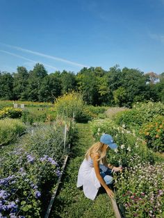 flower picking, flower field, flowers, spring aesthetic, summer aesthetic, spring outfits, summer outfits Spring Girl Aesthetic, Flower Picking Outfit, Flower Picking, Summer Vision, Holiday 2024, Field Flowers, Spring Inspo, Picking Flowers