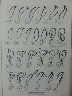 an image of different types of hair drawn in pencil on paper with numbers and symbols