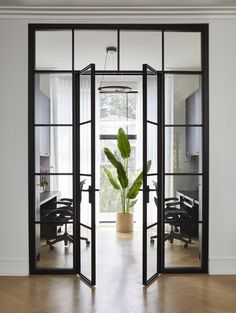 an open glass door with a potted plant in the center and office desks behind it