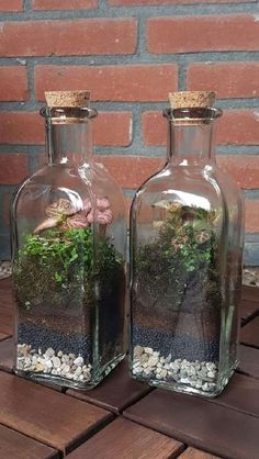 two glass bottles filled with plants on top of a wooden table