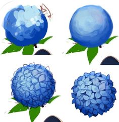 four images of blue flowers with green leaves