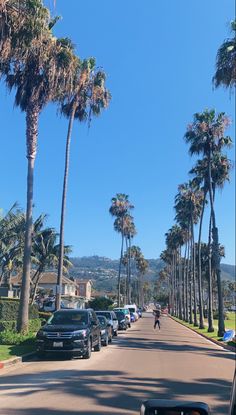 cars parked on the side of a road with palm trees lining the street in front of them