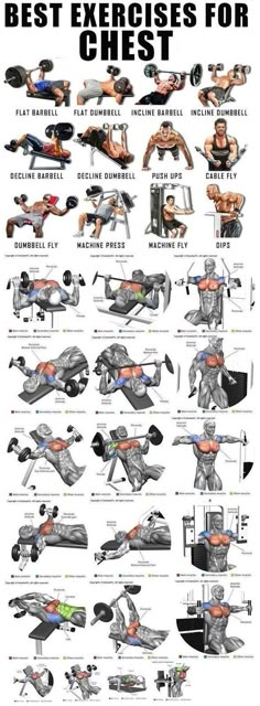 the best exercises for chest workouts