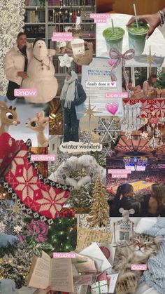 the collage shows many different types of items and things that can be seen in this image