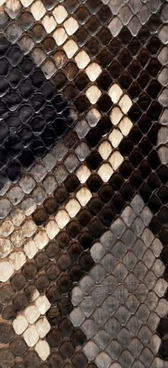 an animal skin pattern is seen in this image