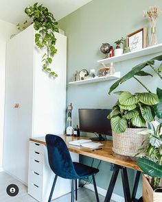 a desk with a computer and some plants on top of it in front of a closet