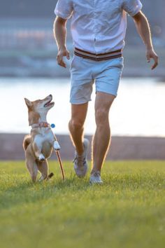 a man and his dog playing with a frisbee in the park at sunset