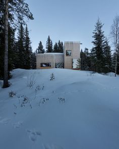 the house is surrounded by trees and snow in the evening hours, with no one around it