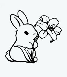 a drawing of a bunny holding a flower