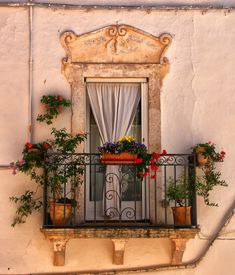 a balcony with potted plants and flowers on the balconies, next to an open window