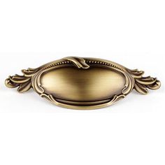 an antique brass finish door handle