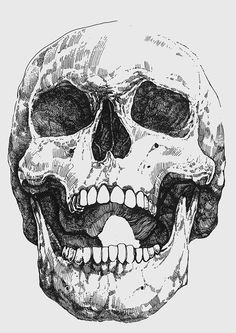 a black and white drawing of a human skull