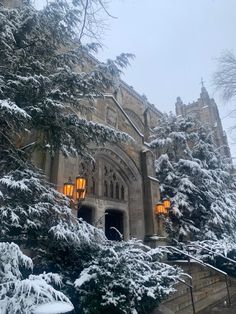 Snow, University of Michigan Law Quad U Of M Aesthetic, American University Aesthetic, Michigan University Aesthetic, Umich Campus, University Of Michigan Law School