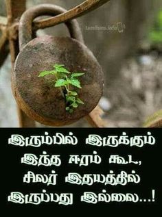 an image of a tree growing in a rusty iron ball with the caption, what does it mean?