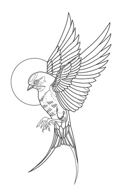 a drawing of a bird with its wings spread