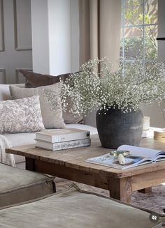 a living room filled with furniture and a large potted plant on top of a coffee table