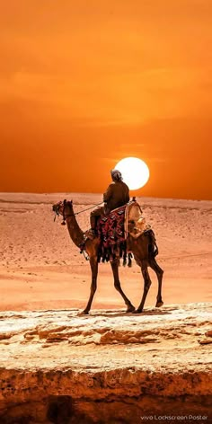 a man riding on the back of a camel across a sandy beach under a sunset