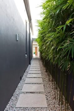 a long narrow walkway between two buildings with bamboo trees lining the sides and one building on the other side