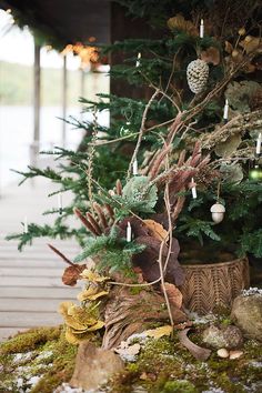 a small christmas tree in a potted planter with ornaments hanging from it's branches