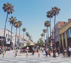 palm trees line the street in front of shops and stores on a sunny day with people walking around