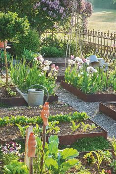 a garden filled with lots of different types of plants