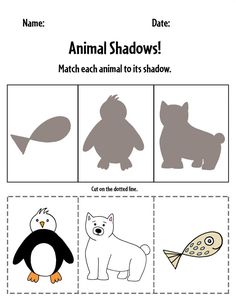 an animal shadow worksheet for children to learn how to draw and cut animals