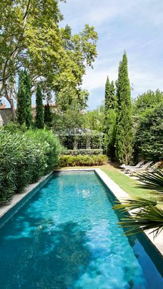 an empty swimming pool surrounded by greenery and trees in a backyard with blue water