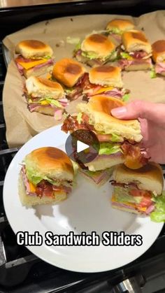 a person holding a plate with sandwiches on it