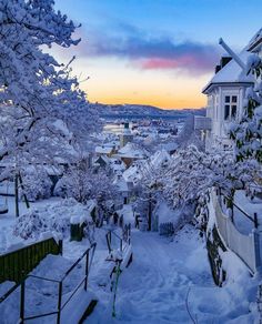 snow covered houses and trees on a hill at dusk with the sun setting in the distance