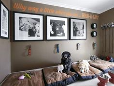 two dogs sitting on top of a bed in a room with three pictures above them