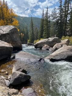 a river running through a forest filled with rocks