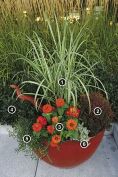 a potted planter with flowers and plants labeled