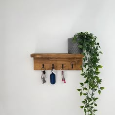 a wooden shelf with key hooks hanging from it's sides next to a potted plant