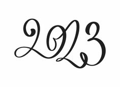 the word 2013 written in cursive writing on a white background with black ink