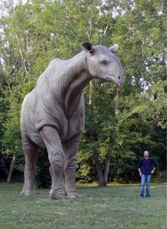 a man standing next to a statue of a rhino in the grass with trees behind him