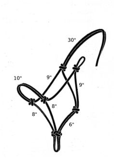 a horse's bridle is shown in the diagram, with numbers on it