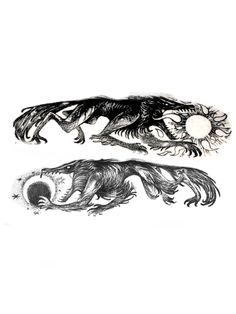 two black and white drawings of an animal